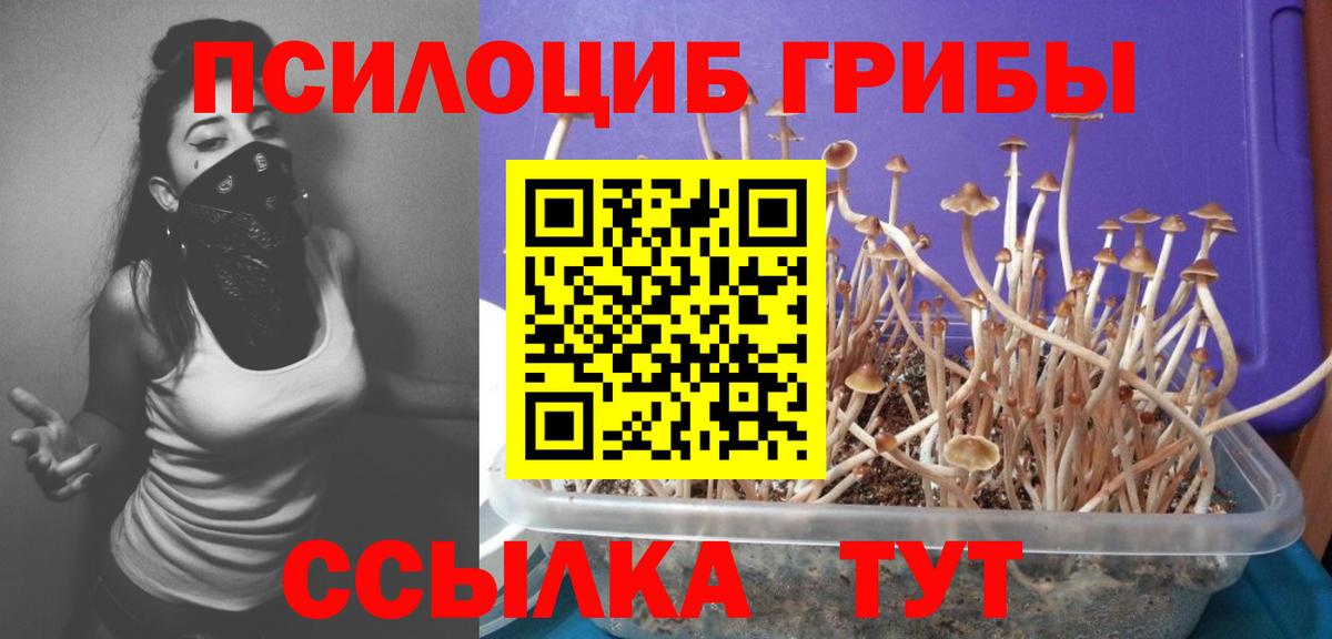 Псилоцибиновые грибы ЛСД Тверь